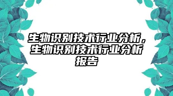 生物識(shí)別技術(shù)行業(yè)分析，生物識(shí)別技術(shù)行業(yè)分析報(bào)告