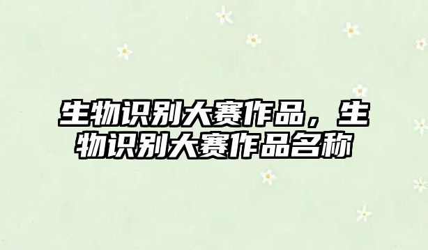 生物識(shí)別大賽作品，生物識(shí)別大賽作品名稱