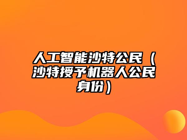 人工智能沙特公民（沙特授予機器人公民身份）