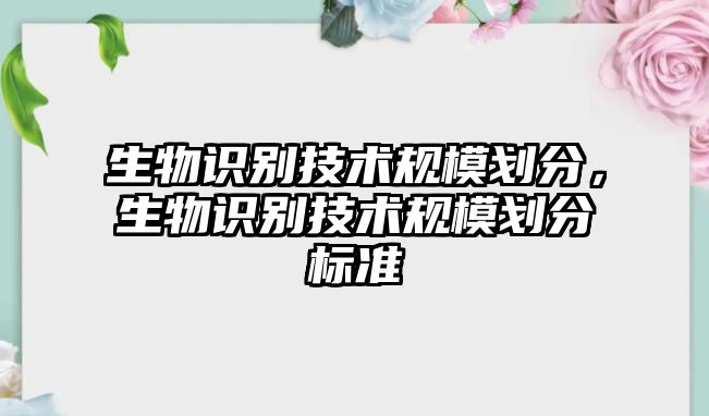 生物識別技術規(guī)模劃分，生物識別技術規(guī)模劃分標準