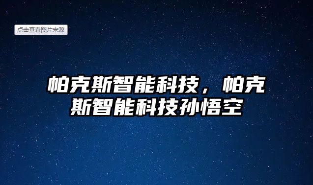 帕克斯智能科技，帕克斯智能科技孫悟空