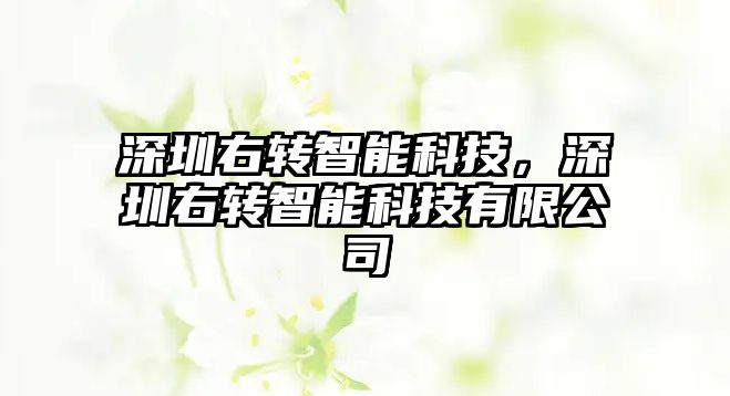 深圳右轉(zhuǎn)智能科技，深圳右轉(zhuǎn)智能科技有限公司