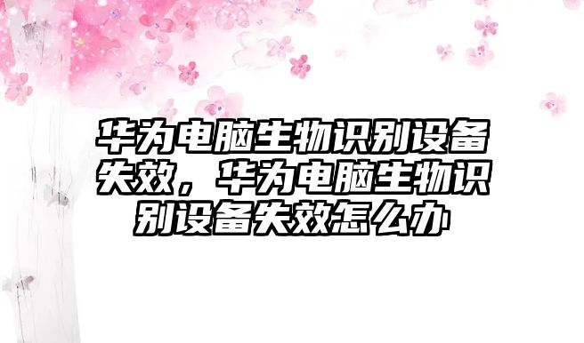 華為電腦生物識(shí)別設(shè)備失效，華為電腦生物識(shí)別設(shè)備失效怎么辦