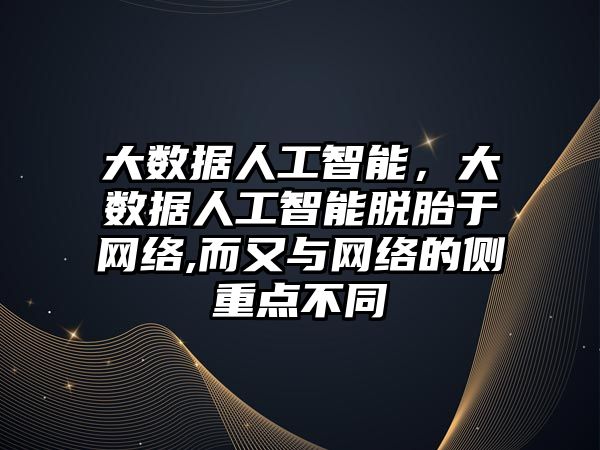 大數據人工智能，大數據人工智能脫胎于網絡,而又與網絡的側重點不同