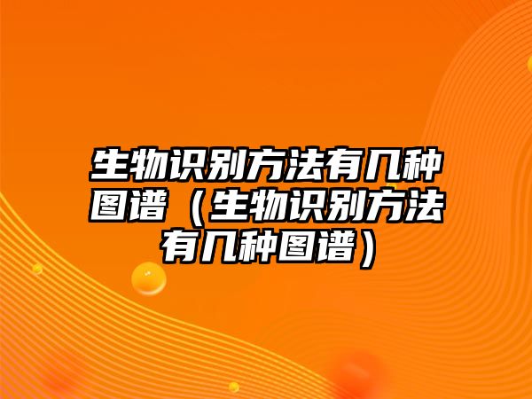 生物識別方法有幾種圖譜（生物識別方法有幾種圖譜）