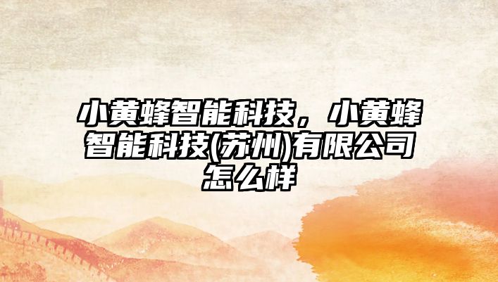 小黃蜂智能科技，小黃蜂智能科技(蘇州)有限公司怎么樣