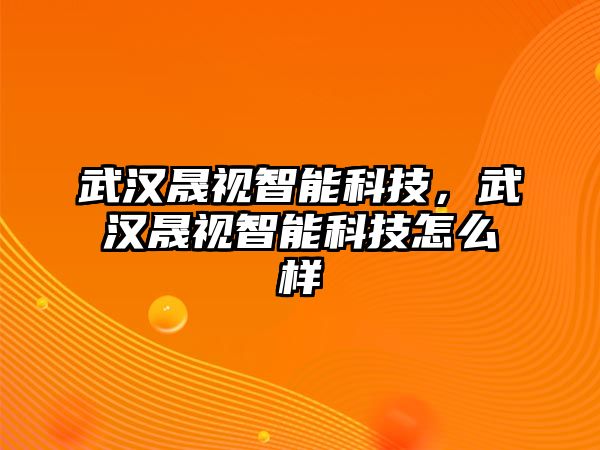 武漢晟視智能科技，武漢晟視智能科技怎么樣