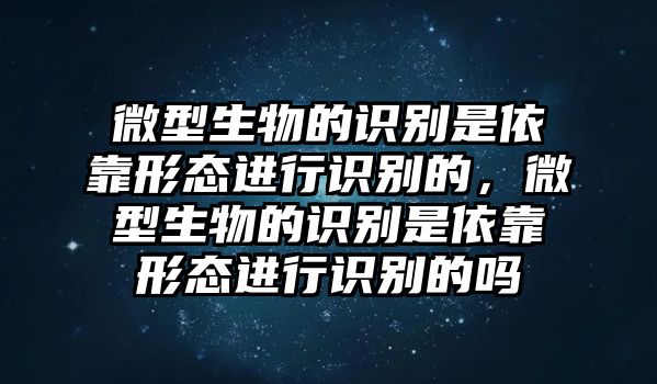 微型生物的識別是依靠形態(tài)進行識別的，微型生物的識別是依靠形態(tài)進行識別的嗎