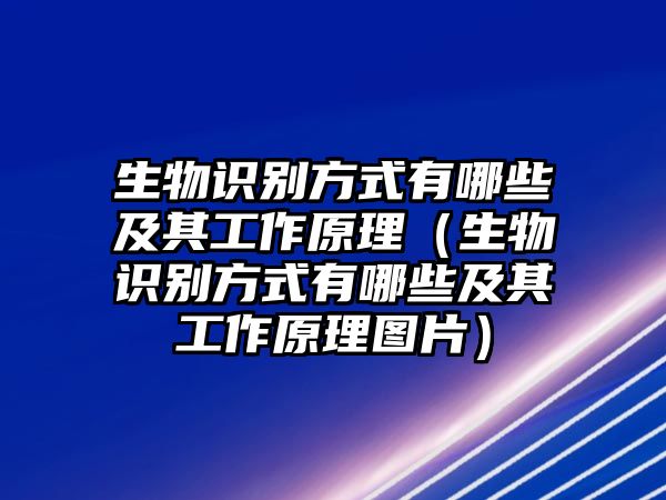 生物識(shí)別方式有哪些及其工作原理（生物識(shí)別方式有哪些及其工作原理圖片）