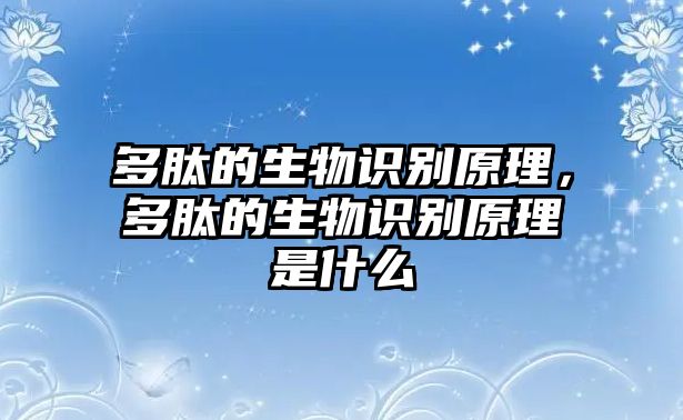 多肽的生物識別原理，多肽的生物識別原理是什么