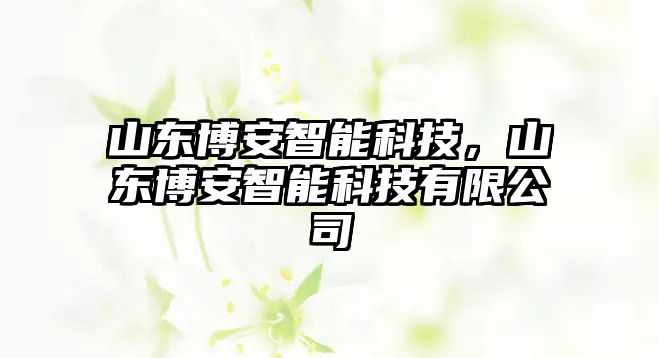 山東博安智能科技，山東博安智能科技有限公司