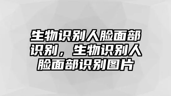 生物識別人臉面部識別，生物識別人臉面部識別圖片