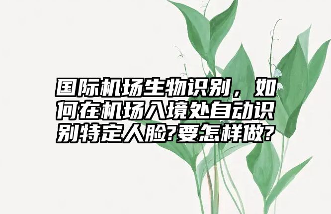 國際機場生物識別，如何在機場入境處自動識別特定人臉?要怎樣做?