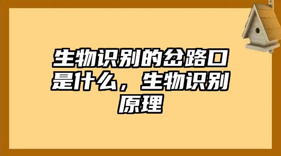 生物識別的岔路口是什么，生物識別原理