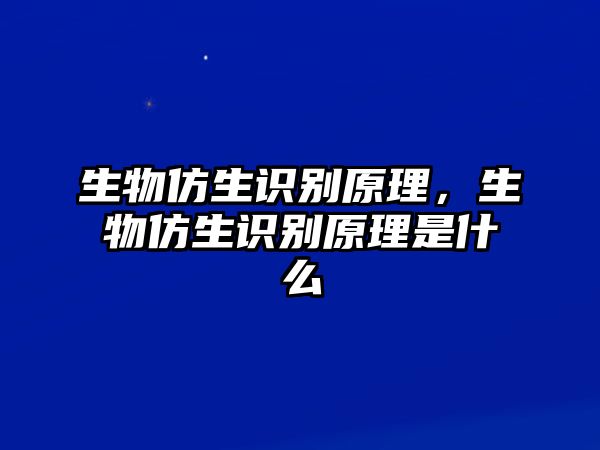 生物仿生識別原理，生物仿生識別原理是什么