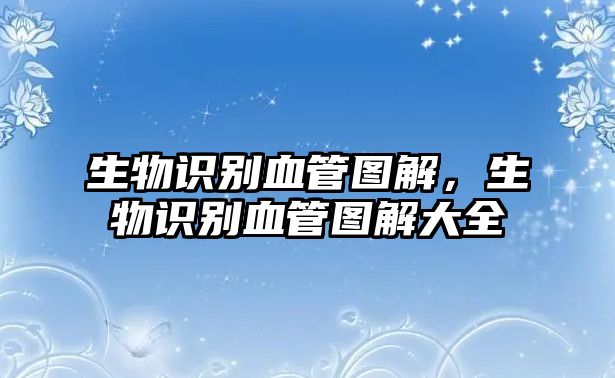 生物識別血管圖解，生物識別血管圖解大全