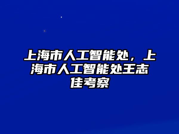 上海市人工智能處，上海市人工智能處王志佳考察