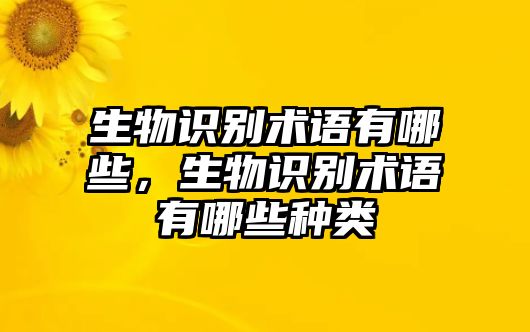 生物識(shí)別術(shù)語有哪些，生物識(shí)別術(shù)語有哪些種類