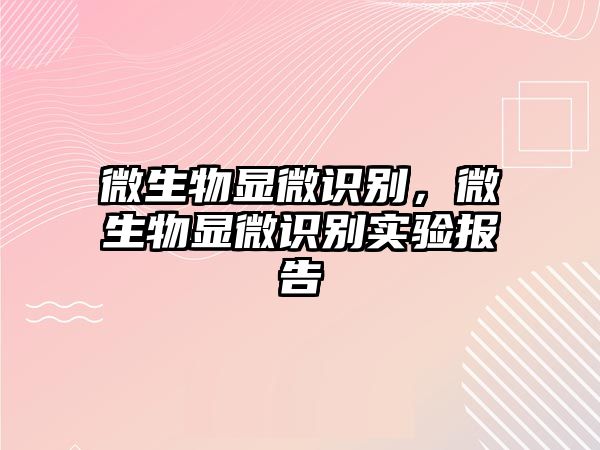 微生物顯微識(shí)別，微生物顯微識(shí)別實(shí)驗(yàn)報(bào)告