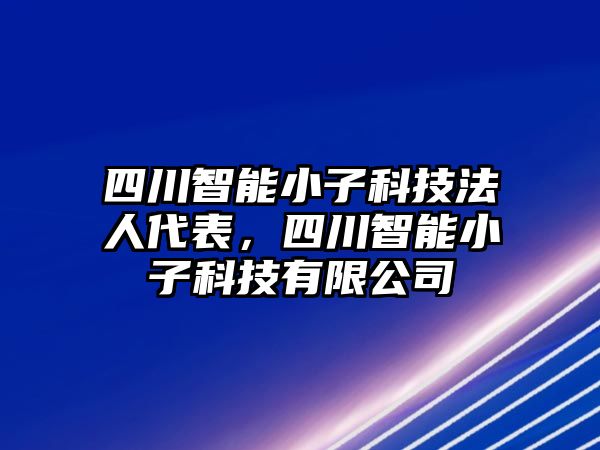 四川智能小子科技法人代表，四川智能小子科技有限公司