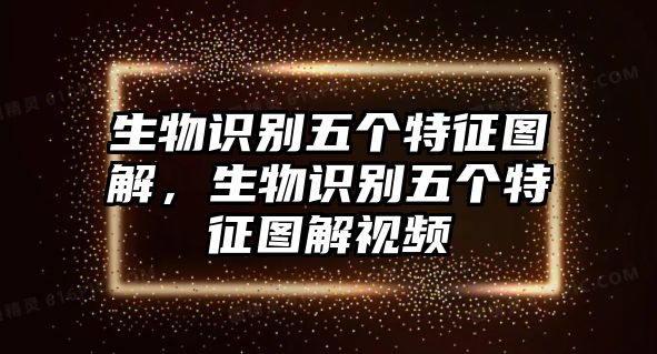 生物識(shí)別五個(gè)特征圖解，生物識(shí)別五個(gè)特征圖解視頻