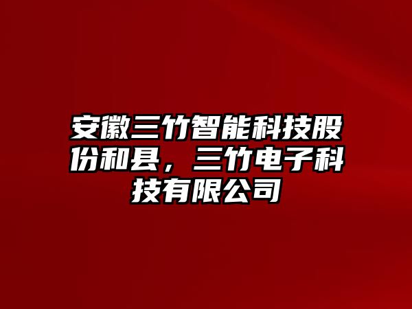 安徽三竹智能科技股份和縣，三竹電子科技有限公司