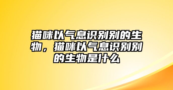 貓咪以氣息識(shí)別別的生物，貓咪以氣息識(shí)別別的生物是什么