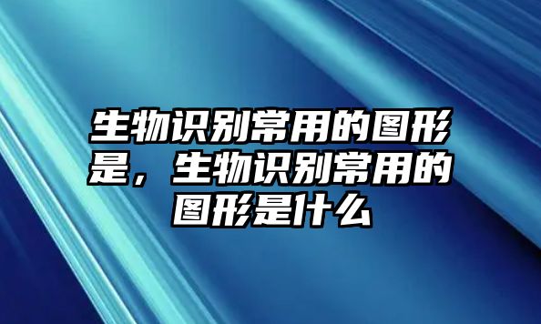 生物識(shí)別常用的圖形是，生物識(shí)別常用的圖形是什么