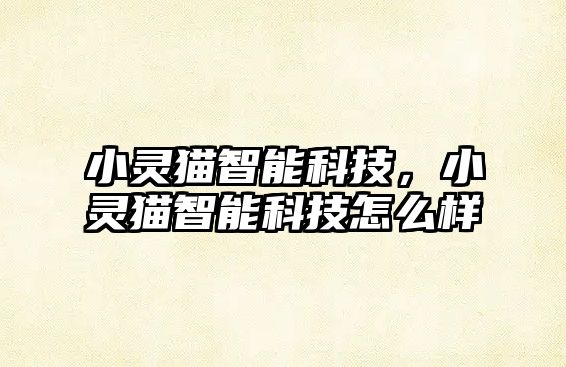 小靈貓智能科技，小靈貓智能科技怎么樣