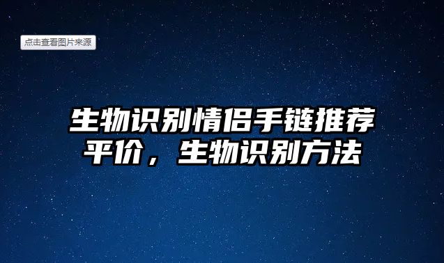 生物識別情侶手鏈推薦平價，生物識別方法