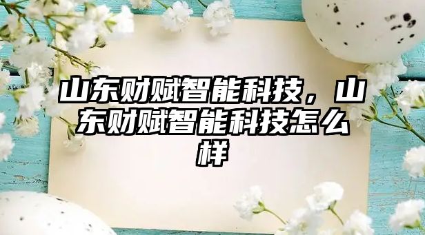 山東財賦智能科技，山東財賦智能科技怎么樣