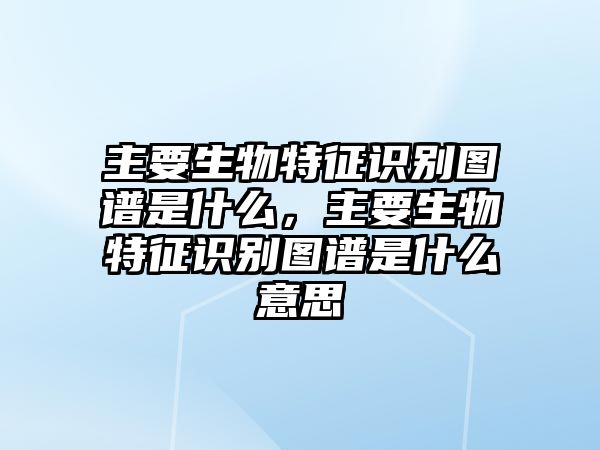 主要生物特征識(shí)別圖譜是什么，主要生物特征識(shí)別圖譜是什么意思