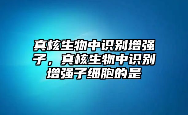 真核生物中識(shí)別增強(qiáng)子，真核生物中識(shí)別增強(qiáng)子細(xì)胞的是