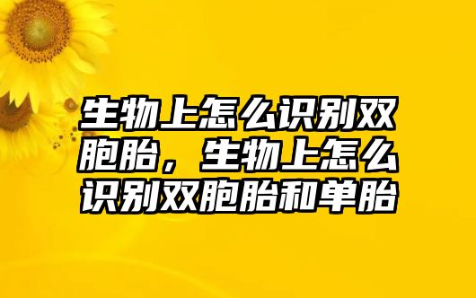 生物上怎么識(shí)別雙胞胎，生物上怎么識(shí)別雙胞胎和單胎