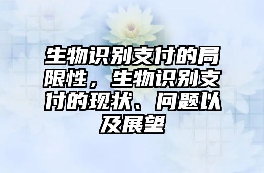 生物識別支付的局限性，生物識別支付的現狀、問題以及展望