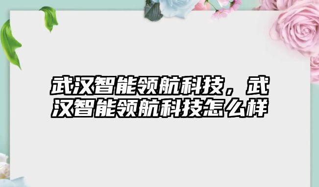 武漢智能領(lǐng)航科技，武漢智能領(lǐng)航科技怎么樣