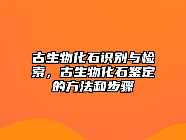 古生物化石識別與檢索，古生物化石鑒定的方法和步驟