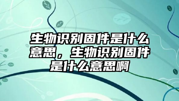 生物識別固件是什么意思，生物識別固件是什么意思啊