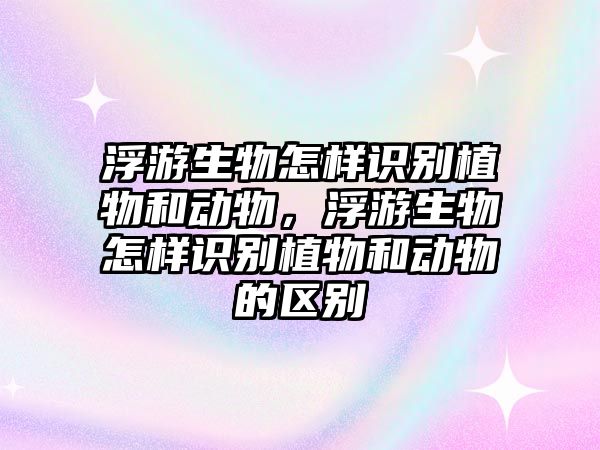 浮游生物怎樣識別植物和動物，浮游生物怎樣識別植物和動物的區(qū)別