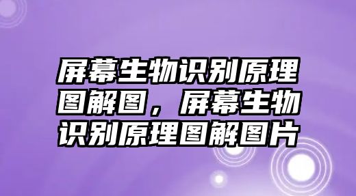 屏幕生物識(shí)別原理圖解圖，屏幕生物識(shí)別原理圖解圖片