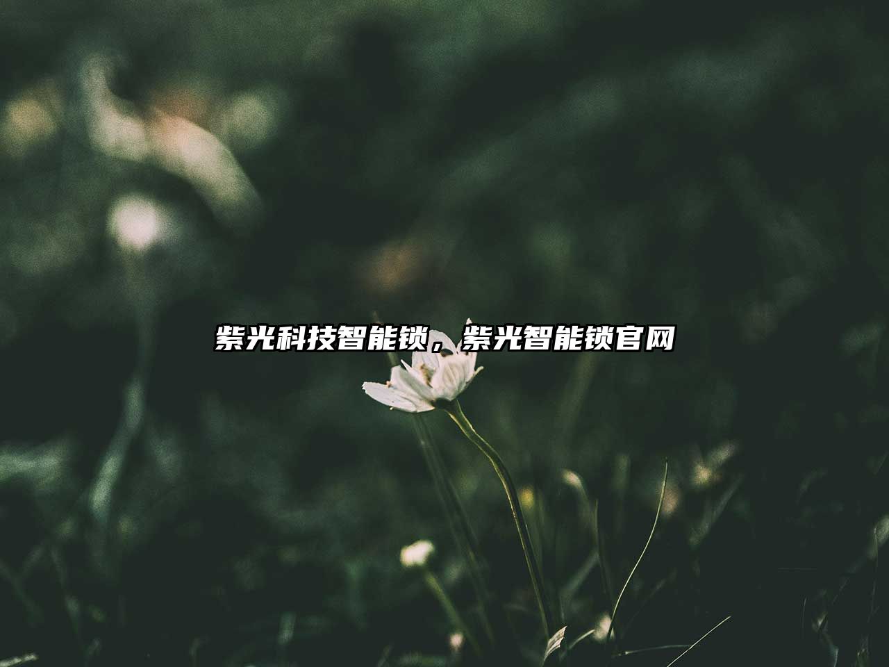 紫光科技智能鎖，紫光智能鎖官網(wǎng)