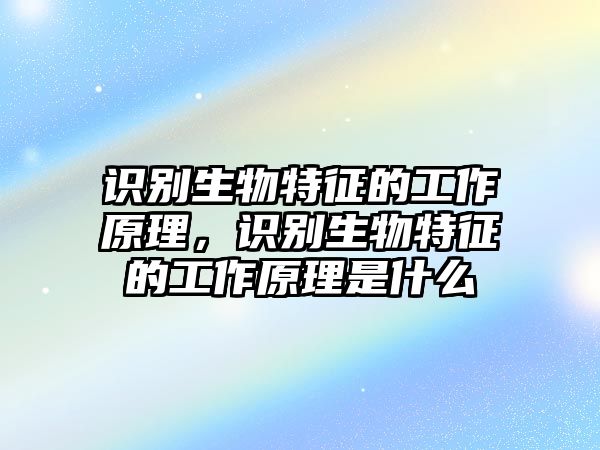 識別生物特征的工作原理，識別生物特征的工作原理是什么