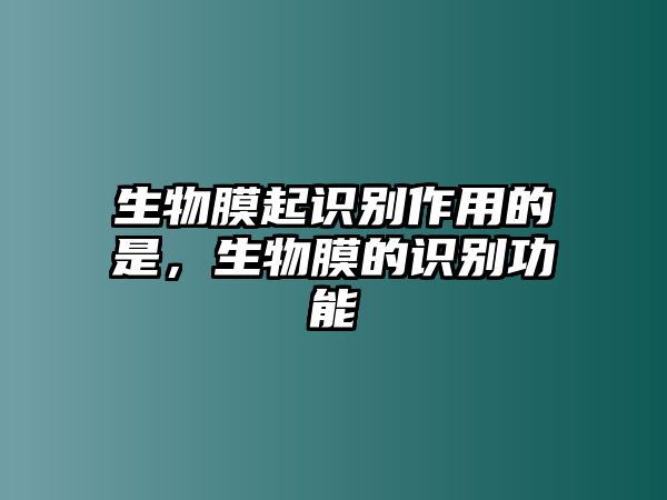 生物膜起識(shí)別作用的是，生物膜的識(shí)別功能