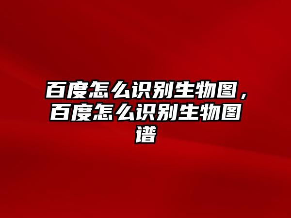 百度怎么識別生物圖，百度怎么識別生物圖譜