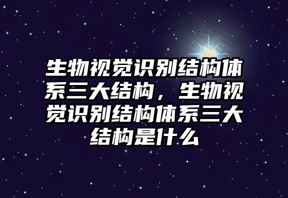 生物視覺(jué)識(shí)別結(jié)構(gòu)體系三大結(jié)構(gòu)，生物視覺(jué)識(shí)別結(jié)構(gòu)體系三大結(jié)構(gòu)是什么