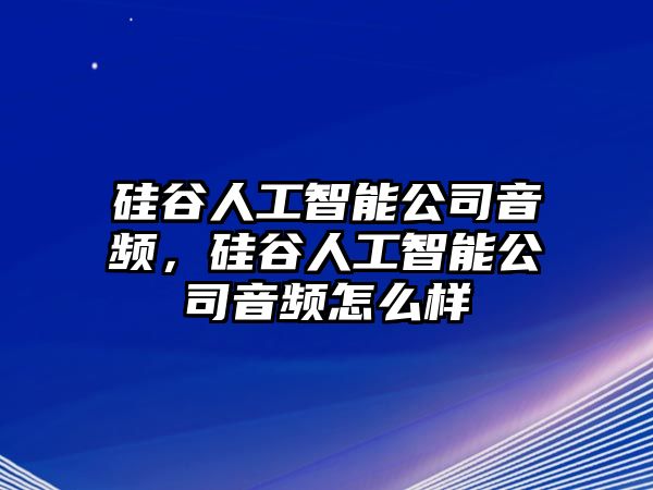 硅谷人工智能公司音頻，硅谷人工智能公司音頻怎么樣