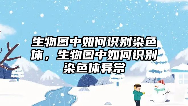 生物圖中如何識別染色體，生物圖中如何識別染色體異常