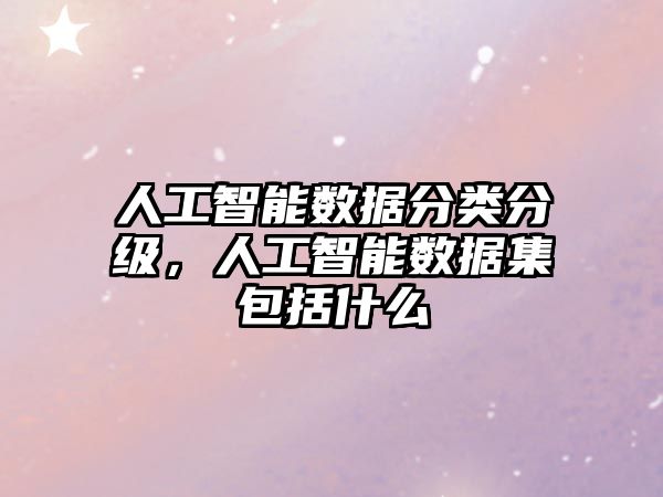 人工智能數(shù)據(jù)分類分級，人工智能數(shù)據(jù)集包括什么