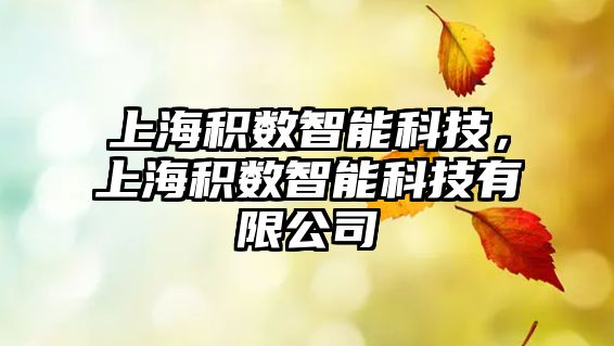 上海積數(shù)智能科技，上海積數(shù)智能科技有限公司