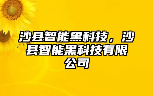 沙縣智能黑科技，沙縣智能黑科技有限公司